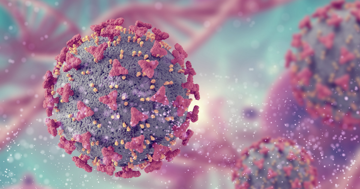 Kemik İliği Modeli