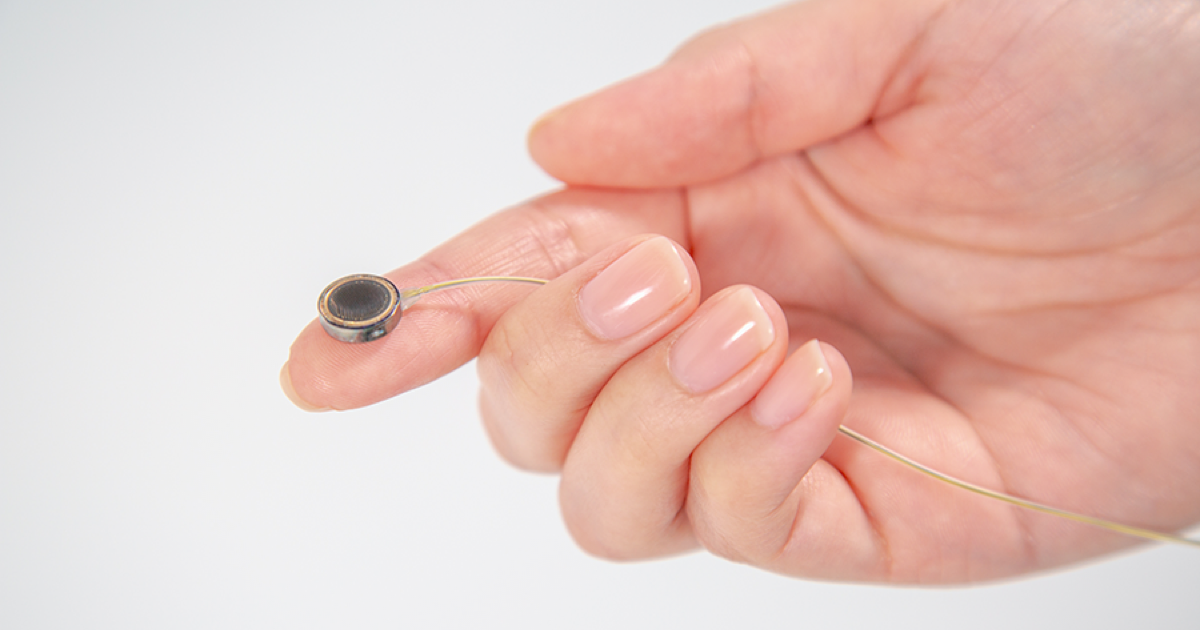 Paradromics'in Beyin Bilgisayar Arayüzü